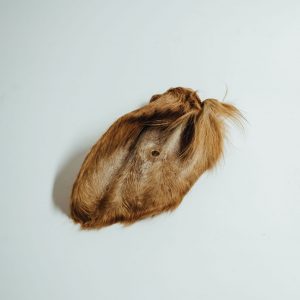 Oreja de ternera con pelo (2 ud)